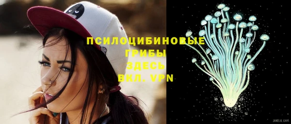 спиды Алексеевка