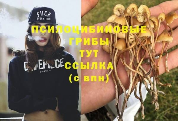 героин Алзамай