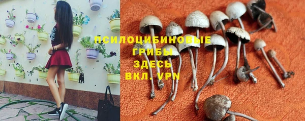 кокаин перу Алексин