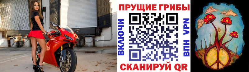 Купить закладки  Майский  Галлюциногенные грибы прущие грибы 