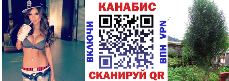 Бошки Шишки семена  Купить  Майский 